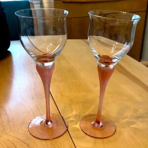 Mikasa sea mist coral frosted wine or water goblet.  Set of two.